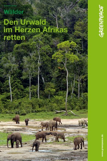 Den Urwald im Herzen Afrikas retten - Greenpeace
