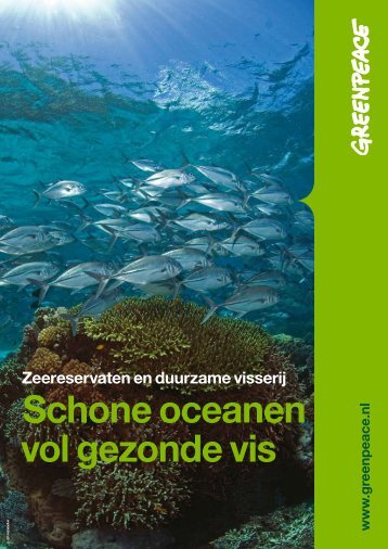 Schone oceanen vol gezonde vis - Greenpeace Nederland