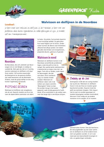 Walvissen en dolfijnen in de Noordzee - Greenpeace Nederland