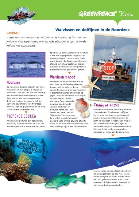 Walvissen en dolfijnen in de Noordzee - Greenpeace Nederland
