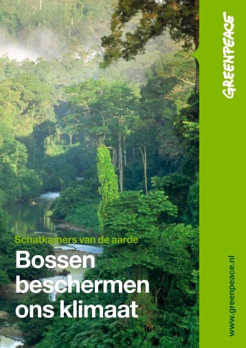 Bossen beschermen ons klimaat - Greenpeace Nederland