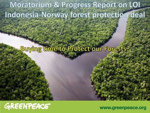 closely monitored the moratorium's implementation - Greenpeace
