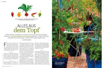 Alles aus dem Topf (PDF) - bei GREEN Pflanzenhandel GmbH