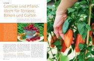 Gemüse- und Pflanzideen für Terrasse, Balkon und Garten (PDF)