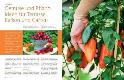 Gemüse- und Pflanzideen für Terrasse, Balkon und Garten (PDF)
