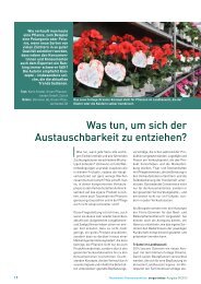 Neuheiten Pflanzenkonzepte (PDF) - bei GREEN Pflanzenhandel ...