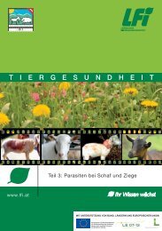 Parasiten bei Schaf und Ziege - Grenzlandschafe