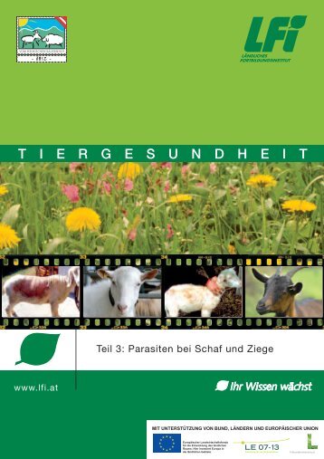 Parasiten bei Schaf und Ziege - Grenzlandschafe