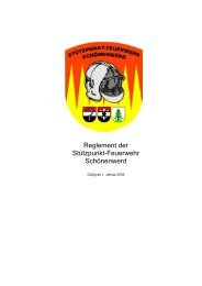 Reglement der Stützpunkt-Feuerwehr Schönenwerd - Gemeinde ...