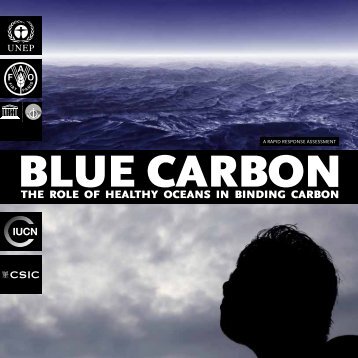 Blue Carbon. A rapid response assessment. United ... - GRID-Arendal