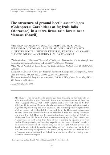 (Coleoptera: Carabidae) at fig fruit falls - Cambridge Journals ...