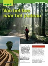 Van het bos naar het plateau - Grinta!