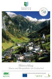 Info Journal Grossarltal