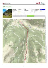 Wanderung Hub-Grundalm - Großarltal