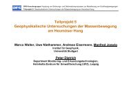 Teilprojekt 5 Geophysikalische Untersuchungen der ...