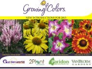 NEW INTRODUCTIONS FOR 2013 - Growing Colors