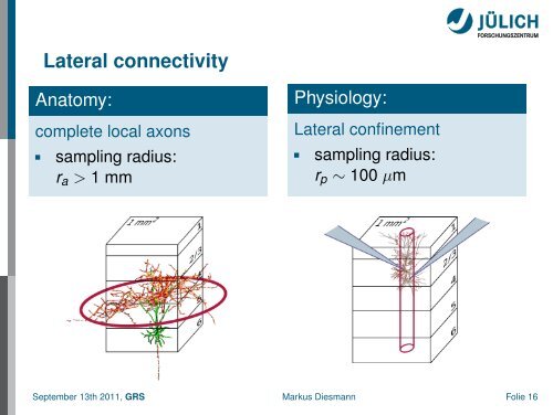 Bottom-up and top-down approaches in Computational Neuroscience