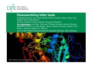 Disassembling bitter taste - German Research School for Simulation ...