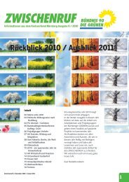 Rückblick 2010 / Ausblick 2011 - Bündnis 90/Die Grünen Nürnberg
