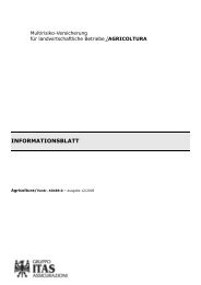 informationsblatt - Gruppo ITAS