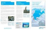 download - Bornemann Pumps