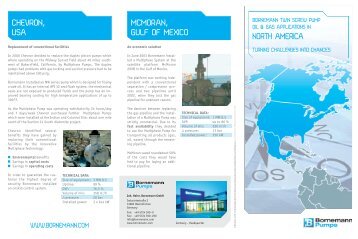 download - Bornemann Pumps