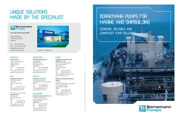 download - Bornemann Pumps