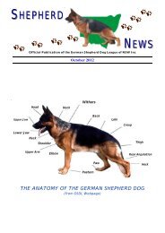 Shepherd News October, 2012 - German Shepherd Dog League ...