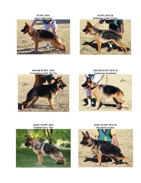 SHEPHERD NEWS - German Shepherd Dog League NSW Inc.