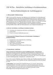 Rahmenlehrplan (pdf-Datei, 16 kB) - Gsi-consult.de