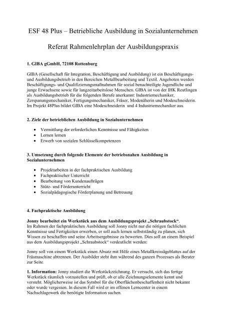 Rahmenlehrplan (pdf-Datei, 16 kB) - Gsi-consult.de