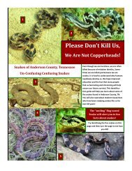 Snakes of Anderson County, Tennessee