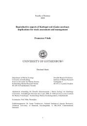 vitale_phd_thesis.pdf (1.8 MB) - Göteborgs universitet