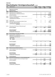 Haushaltsplan Vermögenshaushalt - Guben