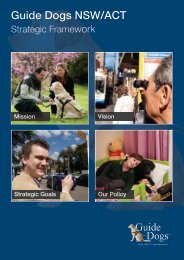 Strategic Framework here - Guide Dogs NSW/ACT