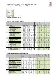 Rankinglister Int. og NM klasser 2013