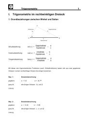 Theorieskript Trigo