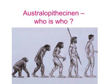 Australopithecinen – who is who ?