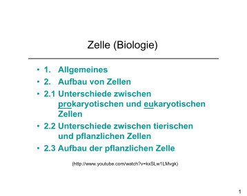 Zelle (Biologie)