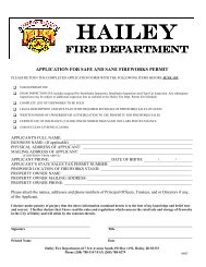Safe and Sane Fireworks Permit Application 08-06 - City of Hailey