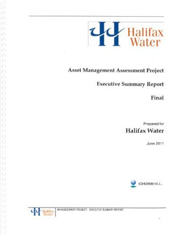 Asset Management Assessment Project - Executive Summary Report