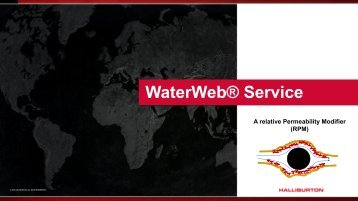 WaterWeb® Service - Halliburton