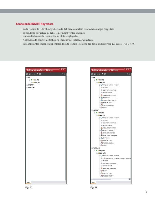 InSite Anywhere® Direct - Halliburton