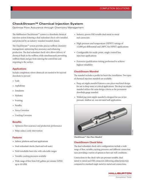 CheckStream™ Chemical Injection System - Halliburton