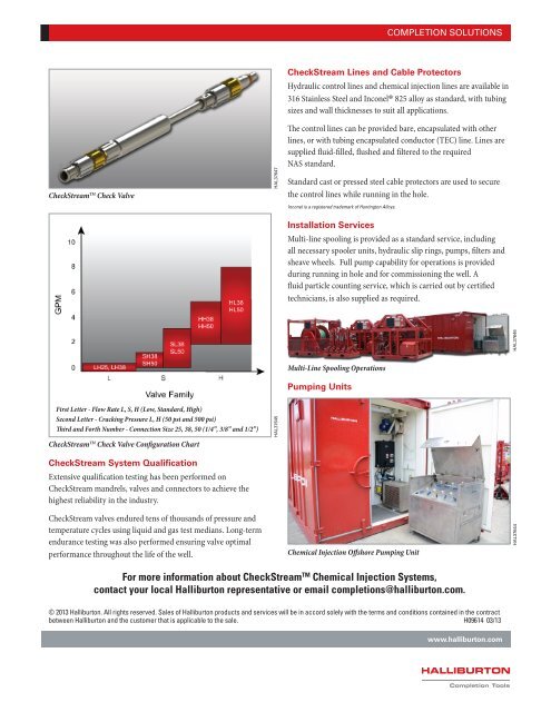 CheckStream™ Chemical Injection System - Halliburton