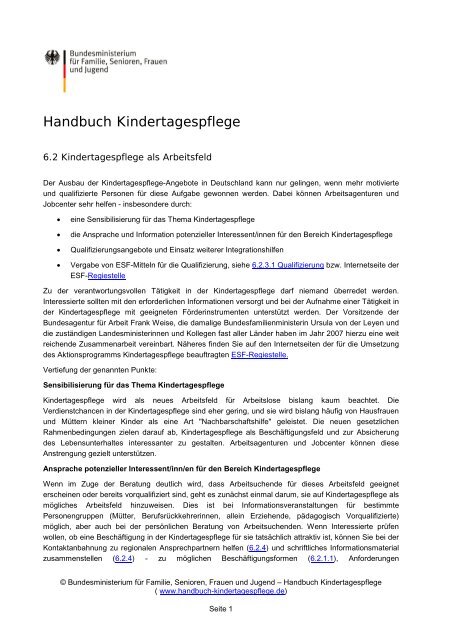 Handbuch Kindertagespflege: Kindertagespflege als Arbeitsfeld