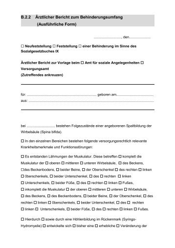 B.2.2 aerztlicher Bericht GdB Ausfuehrliche Form.pdf