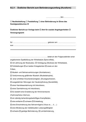 B.2.1 aerztlicher Bericht GdB Kurzform.pdf