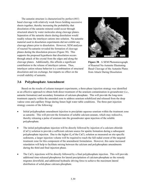 Interim Report - Hanford Site