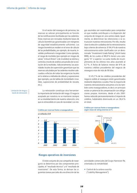 Informe Anual 2004 - Hannover Re